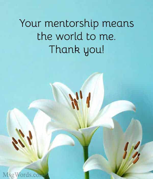 Your mentorship means the world to me. Thank you!
