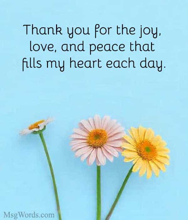 Thank you for the joy, love, and peace that fills my heart each day.