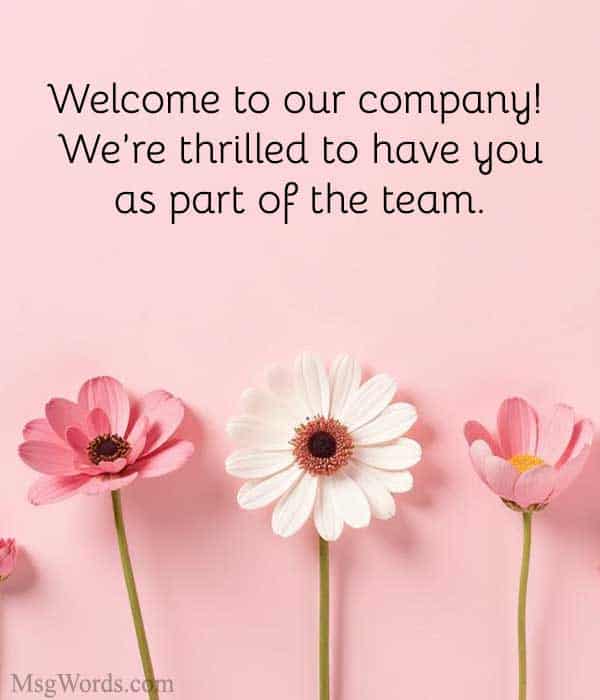 Welcome to our company! We’re thrilled to have you as part of the team.