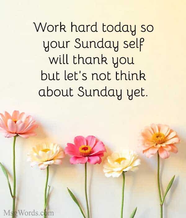 Work hard today so your Sunday self will thank you (but let’s not think about Sunday yet).