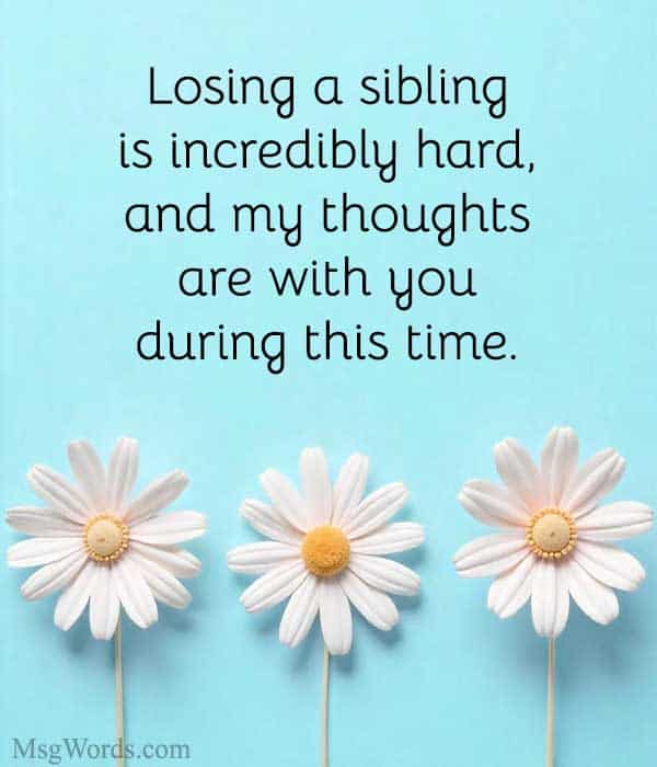 Losing a sibling is incredibly hard, and my thoughts are with you during this time.