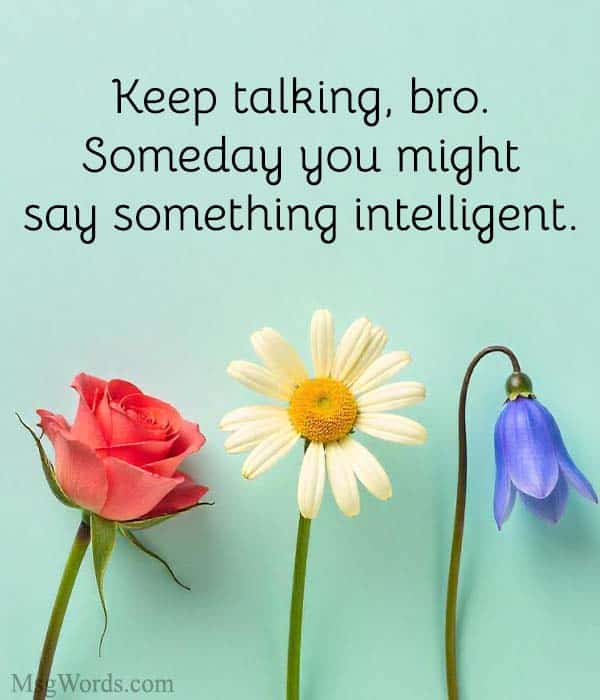 Keep talking, bro. Someday you might say something intelligent.
