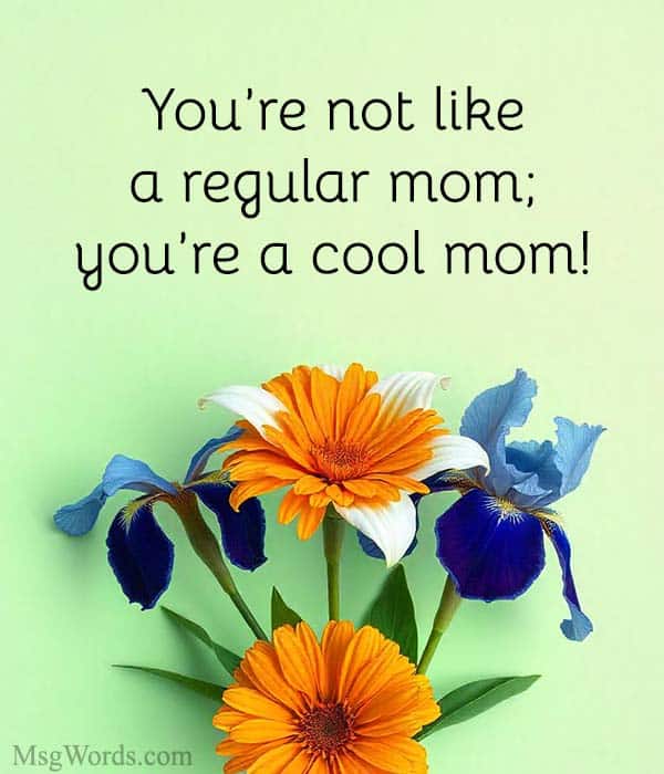 You’re not like a regular mom; you’re a cool mom!