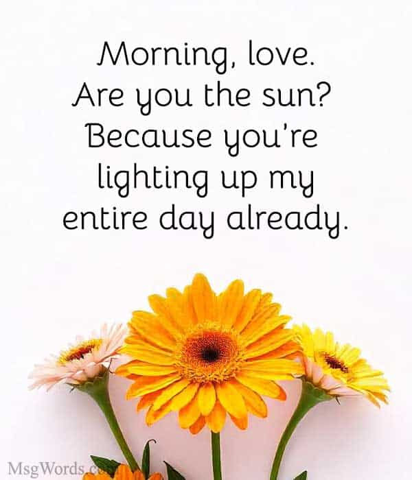 Morning, love. Are you the sun? Because you’re lighting up my entire day already.