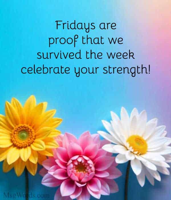 Fridays are proof that we survived the week; celebrate your strength!