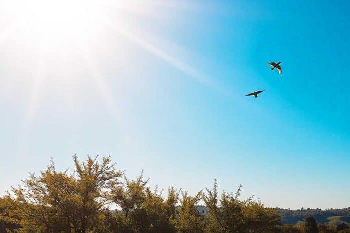 Good Morning Messages for Whatsapp