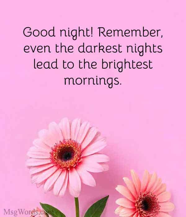 Good night! Remember, even the darkest nights lead to the brightest mornings.