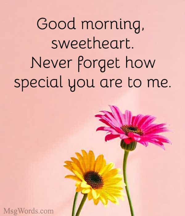 Good morning, sweetheart. Never forget how special you are to me.