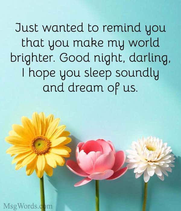 Just wanted to remind you that you make my world brighter. Good night, darling, I hope you sleep soundly and dream of us.