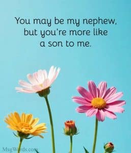 Best 55+ Nephew Quotes from Aunt - Heartfelt and Loving
