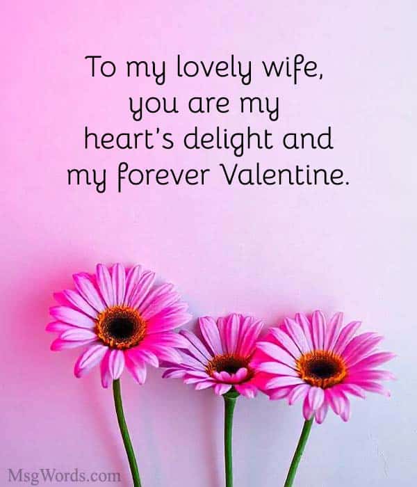 To my lovely wife, you are my heart’s delight and my forever Valentine.