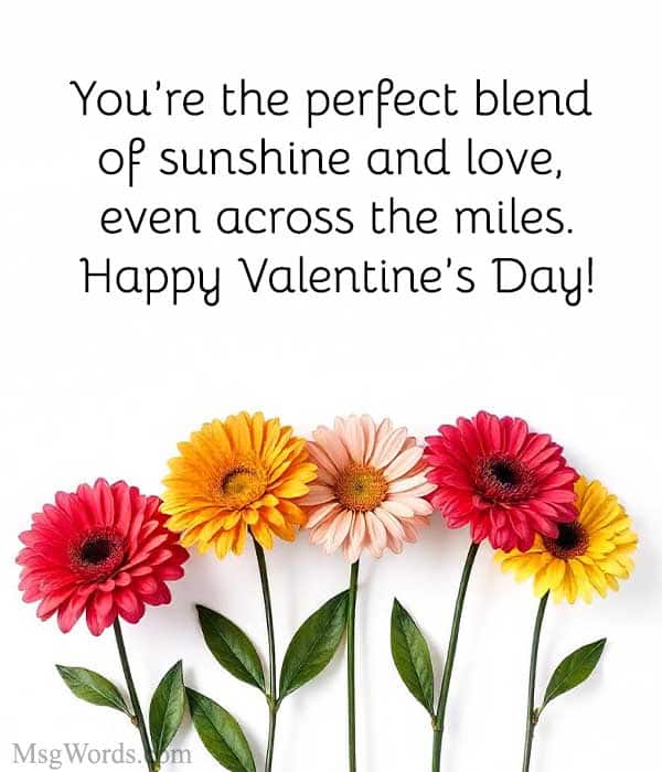 You’re the perfect blend of sunshine and love, even across the miles. Happy Valentine’s Day, darling!