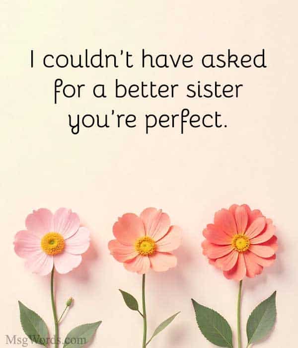 I couldn’t have asked for a better sister; you’re perfect.