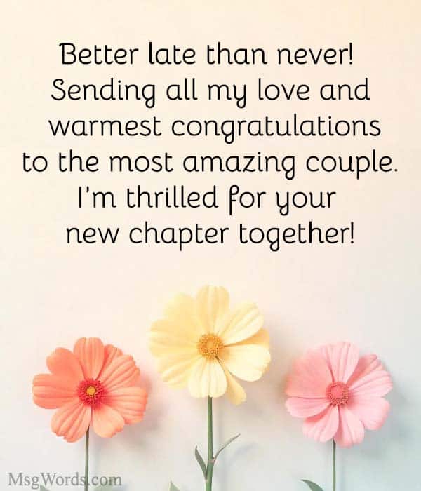 Better late than never! Sending all my love and warmest congratulations to the most amazing couple. I’m thrilled for your new chapter together!