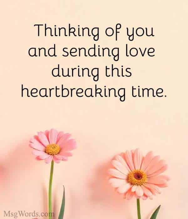 Thinking of you and sending love during this heartbreaking time.