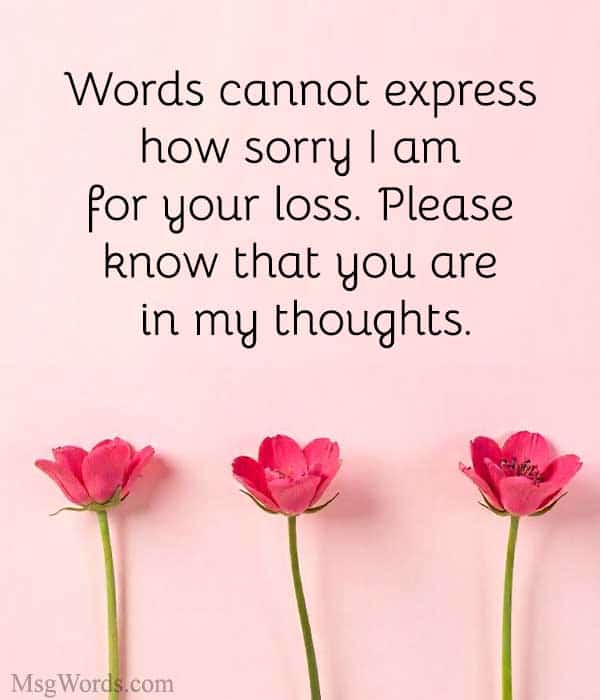 Words cannot express how sorry I am for your loss. Please know that you are in my thoughts.