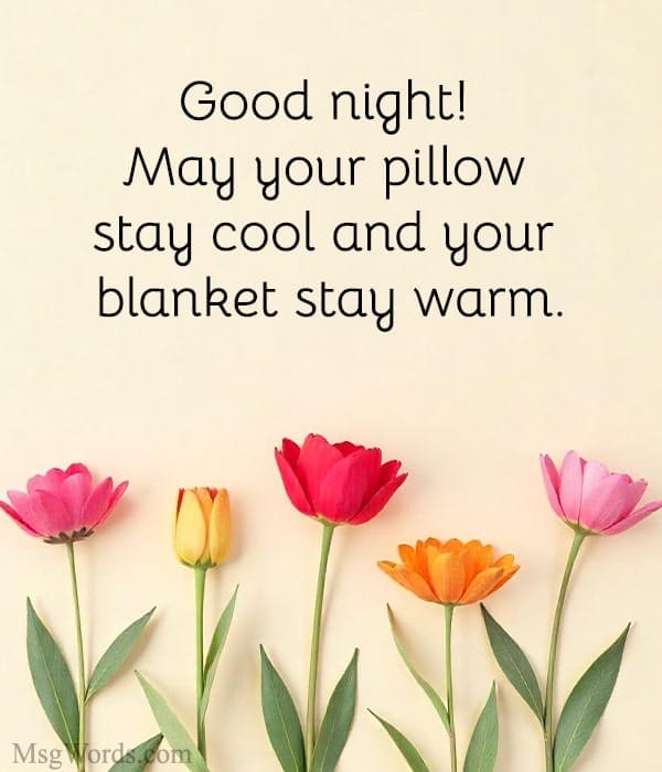 Good night! May your pillow stay cool and your blanket stay warm.