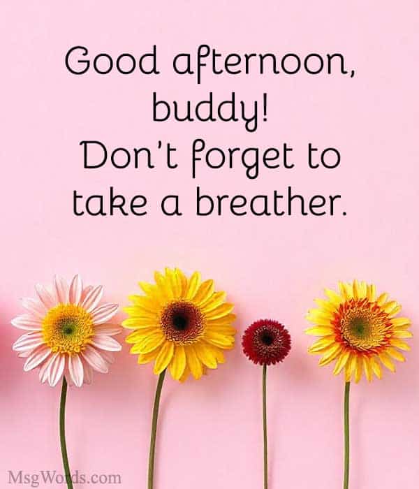 Good afternoon, buddy! Don’t forget to take a breather.