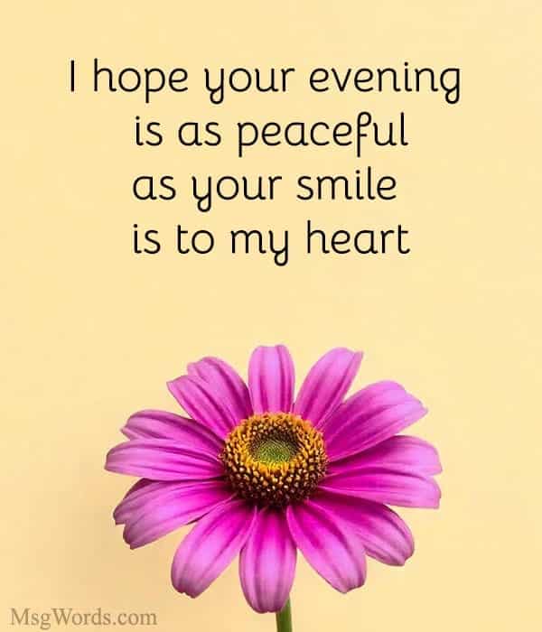 I hope your evening is as peaceful as your smile is to my heart.