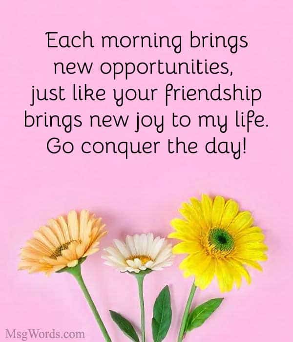 Each morning brings new opportunities, just like your friendship brings new joy to my life. Go conquer the day!
