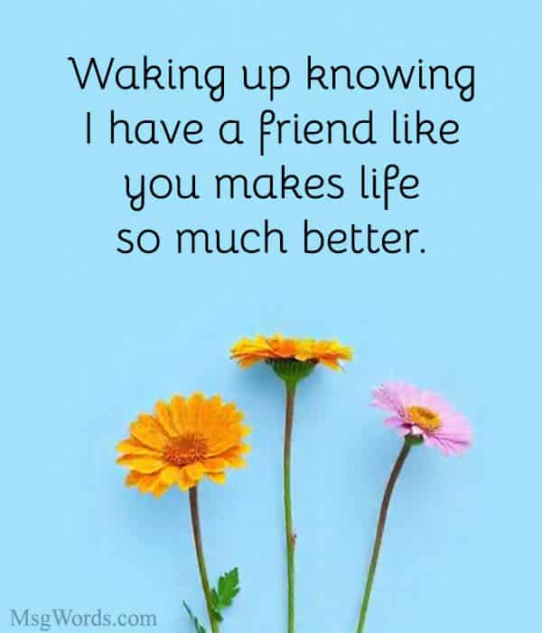 Waking up knowing I have a friend like you makes life so much better.