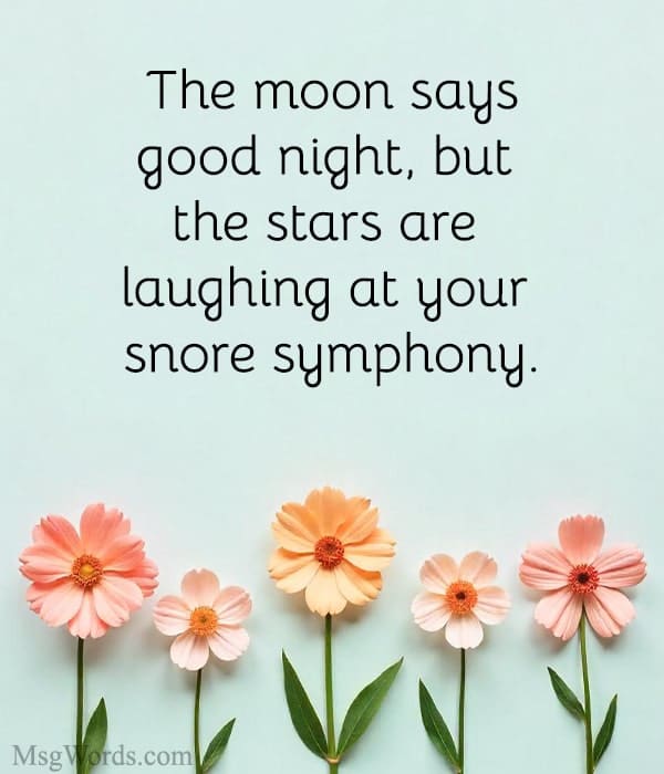 The moon says good night, but the stars are laughing at your snore symphony.