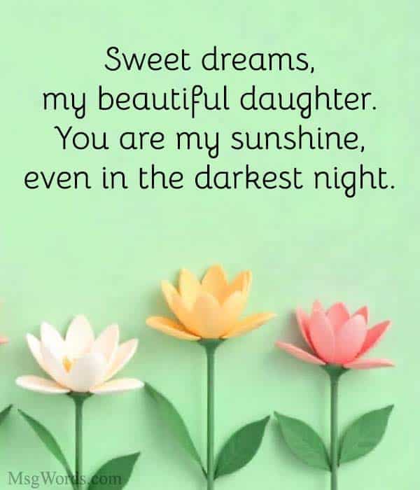 Sweet dreams, my beautiful daughter. You are my sunshine, even in the darkest night.