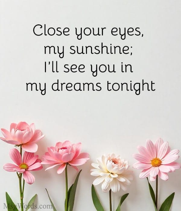 Close your eyes, my sunshine; I’ll see you in my dreams tonight.