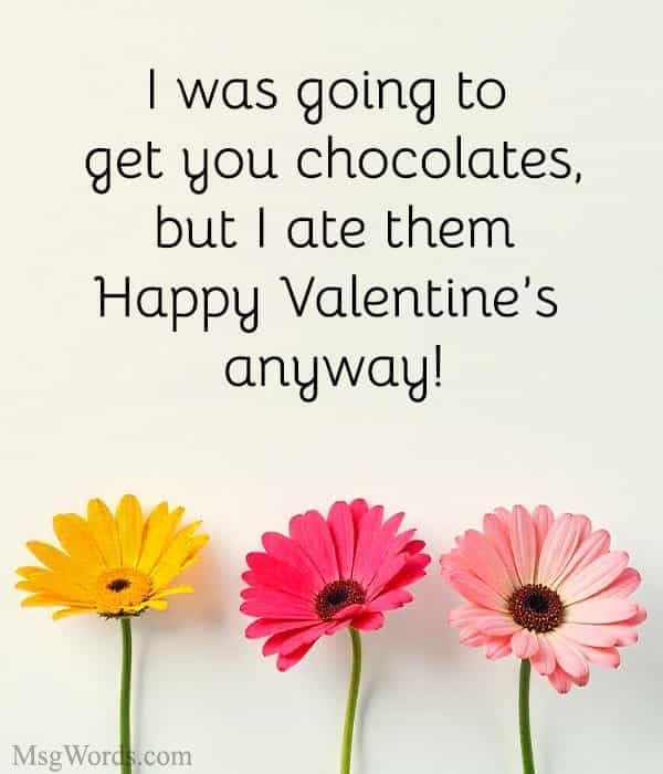 I was going to get you chocolates, but I ate them; Happy Valentine’s Day anyway!