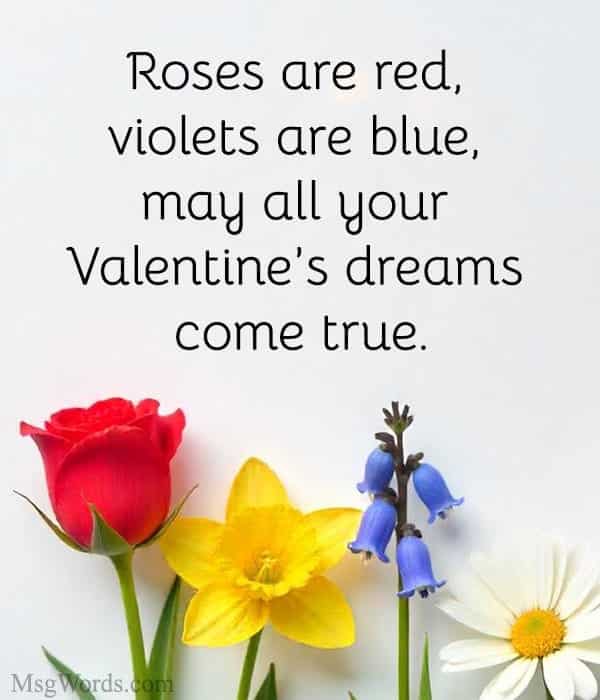 Roses are red, violets are blue, may all your Valentine’s dreams come true.