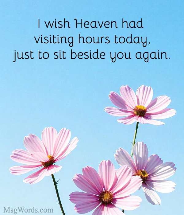 I wish Heaven had visiting hours today, just to sit beside you again.