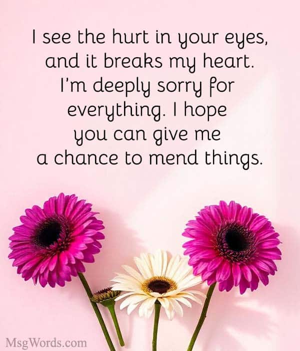 I see the hurt in your eyes, and it breaks my heart. I’m deeply sorry for everything. I hope you can give me a chance to mend things.