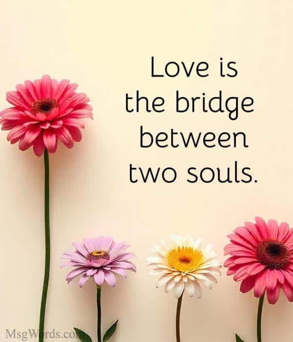 Love is the bridge between two souls.