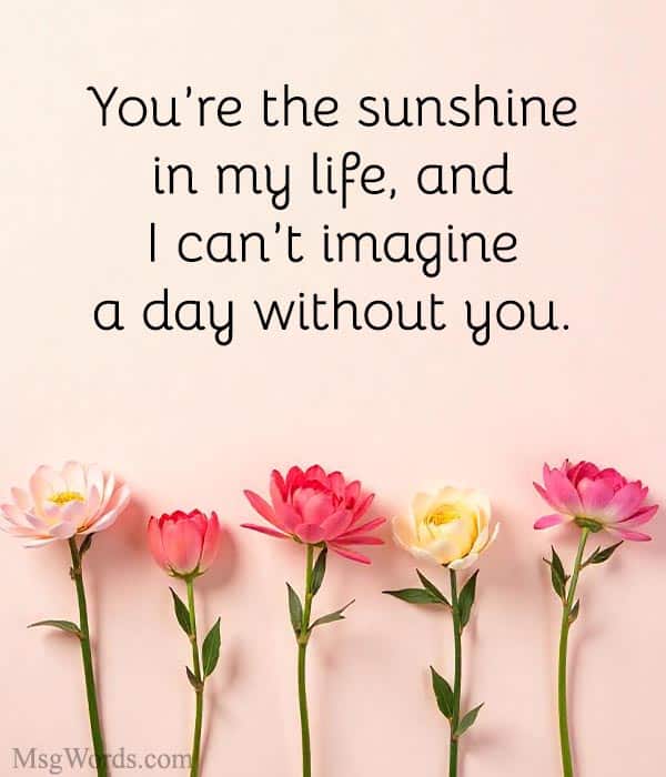 You’re the sunshine in my life, and I can’t imagine a day without you.
