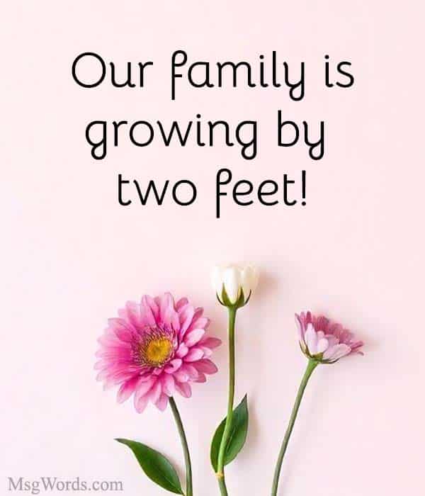 Our family is growing by two feet!