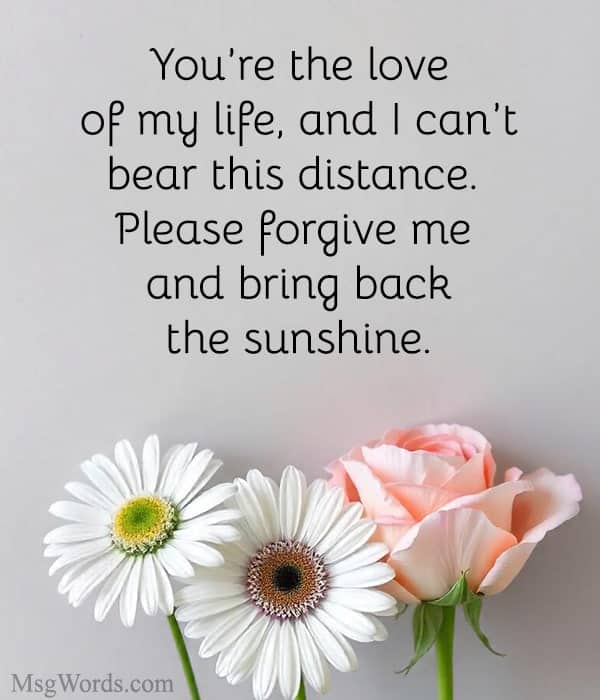 You’re the love of my life, and I can’t bear this distance. Please forgive me and bring back the sunshine.