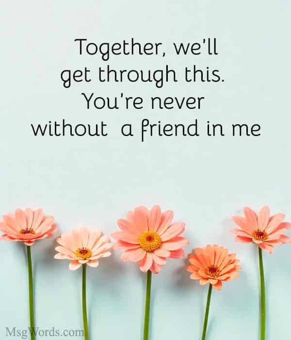 Together, we’ll get through this. You’re never without a friend in me.