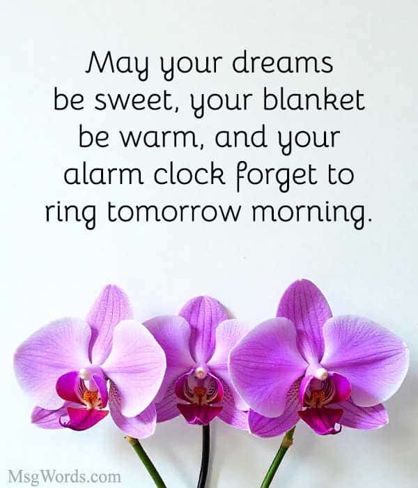 May your dreams be sweet, your blanket be warm, and your alarm clock forget to ring tomorrow morning.