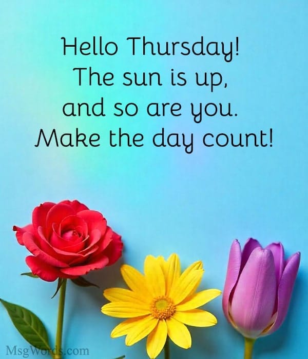 Hello Thursday! The sun is up, and so are you. Make the day count!
