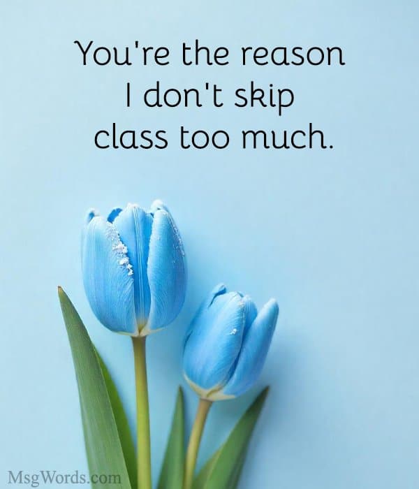 You're the reason I don't skip class too much.