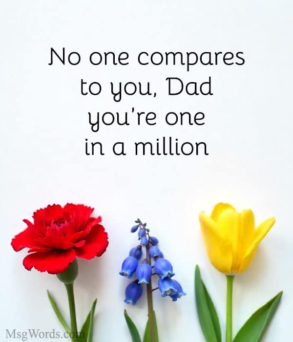 No one compares to you, Dad; you’re one in a million.