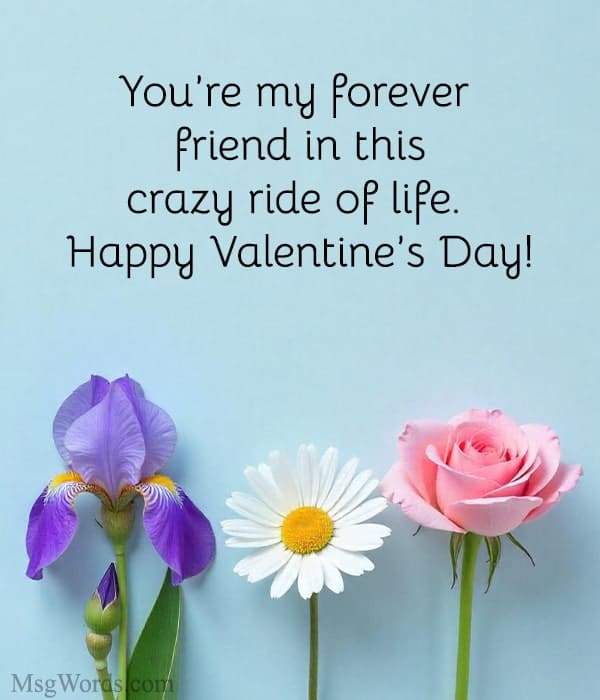You’re my forever friend in this crazy ride of life. Happy Valentine’s Day!