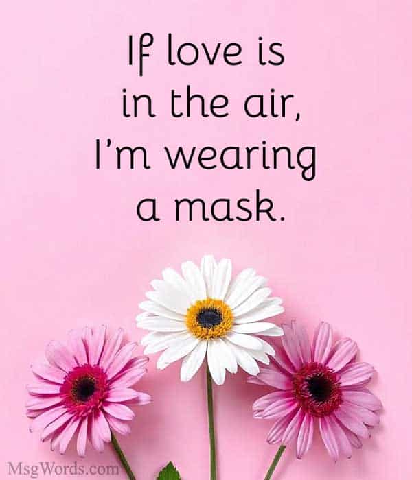 If love is in the air, I’m wearing a mask.