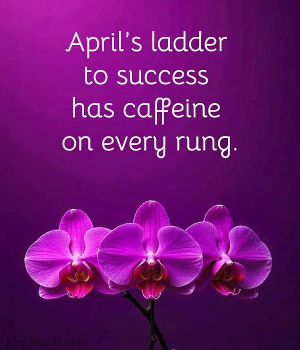April’s ladder to success has caffeine on every rung.