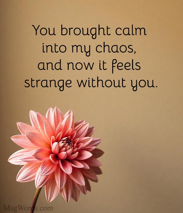 You brought calm into my chaos, and now it feels strange without you.