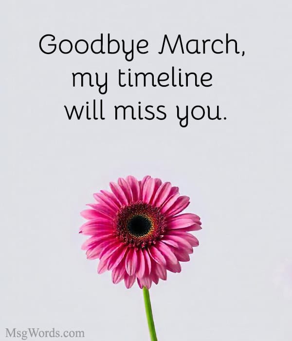 Goodbye March, my timeline will miss you.
