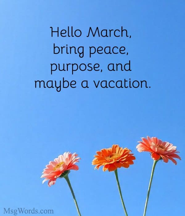 Hello March, bring peace, purpose, and maybe a vacation.