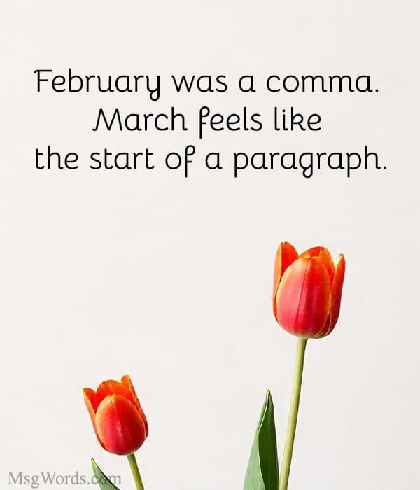 February was a comma. March feels like the start of a paragraph.
