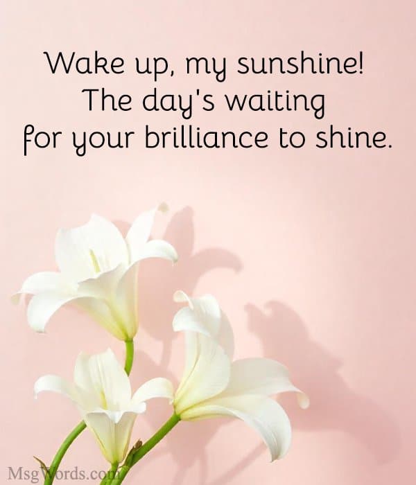 Wake up, my sunshine! The day's waiting for your brilliance to shine.