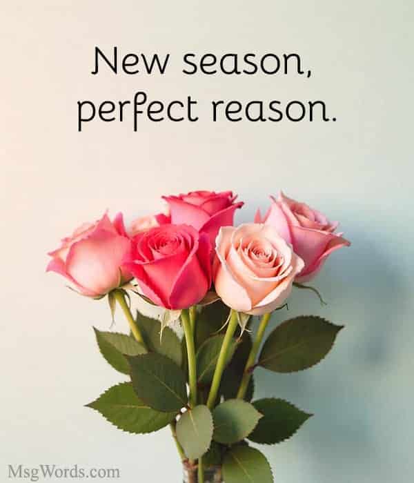 New season, perfect reason.